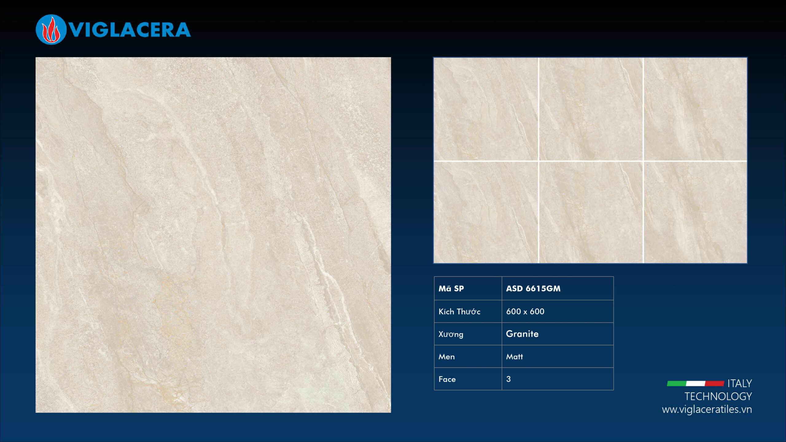GẠCH GRANITE PHỦ MEN (60X60) VIGLACERA