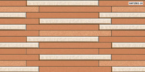 GẠCH TRANG TRÍ (25x50) PORCELAIN