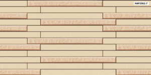 GẠCH TRANG TRÍ (25x50) PORCELAIN