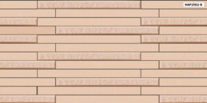 GẠCH TRANG TRÍ (25x50) PORCELAIN