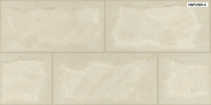GẠCH TRANG TRÍ (25x50) PORCELAIN