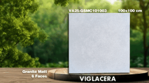 GẠCH GRANITE (100x100) VIGLACERA