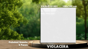 GẠCH GRANITE (100x100) VIGLACERA