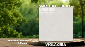 GẠCH GRANITE (100x100) VIGLACERA