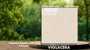 GẠCH GRANITE (100x100) VIGLACERA