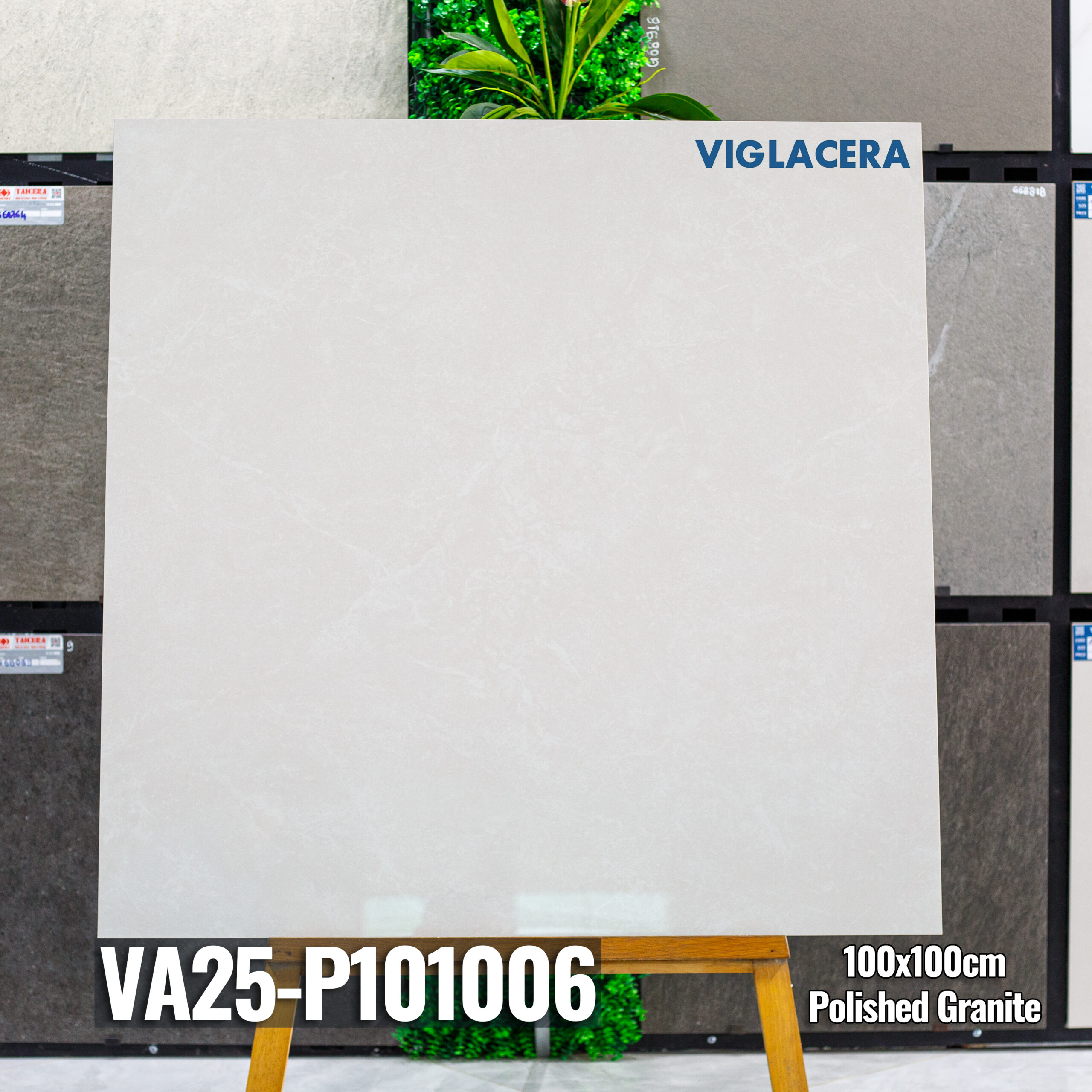 GẠCH GRANITE (100x100) VIGLACERA
