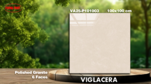 GẠCH GRANITE (100x100) VIGLACERA