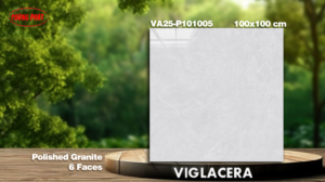 GẠCH GRANITE (100x100) VIGLACERA