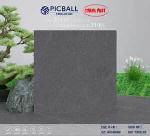 GẠCH PORCELAIN (40X40) PICBALL