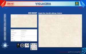 GẠCH GRANITE (40X80) VIGLACERA