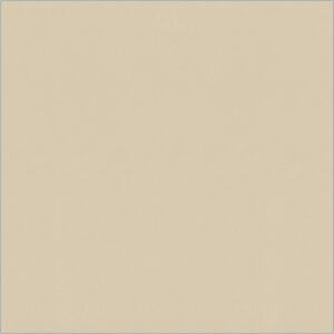 ĐÁ ĐỒNG CHẤT (40X40) THANH THANH