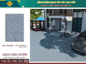GẠCH SÂN VƯỜN (40x60) VĨNH THẮNG