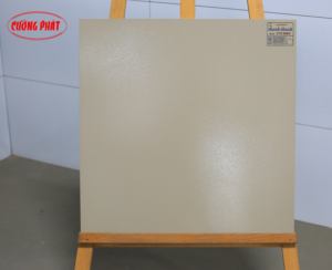 ĐÁ ĐỒNG CHẤT (60X60) THANH THANH