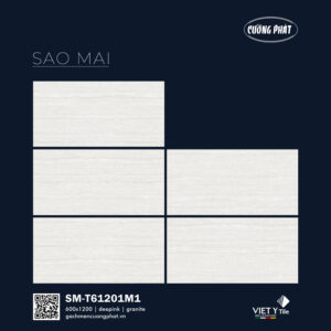 GẠCH GRANITE (60X120) VIỆT Ý